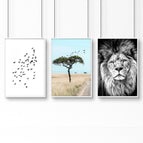 White Frame / A4 8.27 x 11.69 in / 21 x 29.7 cm / Satin Photo Paper 280 gsm
