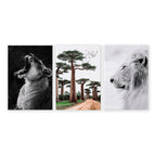 Canvas wrapped / 20 x 30 in / 50 x 76 cm / Polyester Canvas 260 gsm