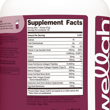 Wellah The Afterglow Multi Collagen Protein + Beauty (Dark Chocolate Flavored) 30 Servings