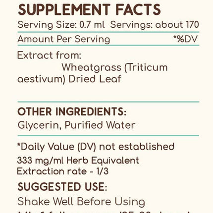 Wheatgrass B120 Alcohol-Free Herbal Extract Tincture - 4 fl oz