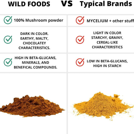 Wild Foods Lions Mane Powder 10:1 Organic Mushroom Extract – 4 oz Pack of 2 | Brain Health & Focus