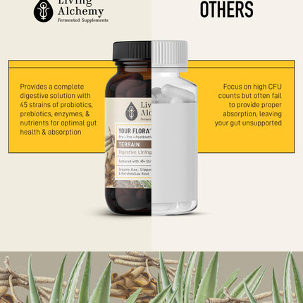 Your Flora Probiotic Terrain – Non-GMO Probiotics with Fermented Soybean, Aloe Vera, & Slippery Elm for Gut Balance & Digestion | Living Alchemy, 60 Pcs