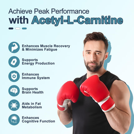 Zetelixia 2 Pack Sugar Free Acetyl L-Carnitine Gummies – Energy, Brain & Heart Health (Vegan, Non-GMO) 120 Count