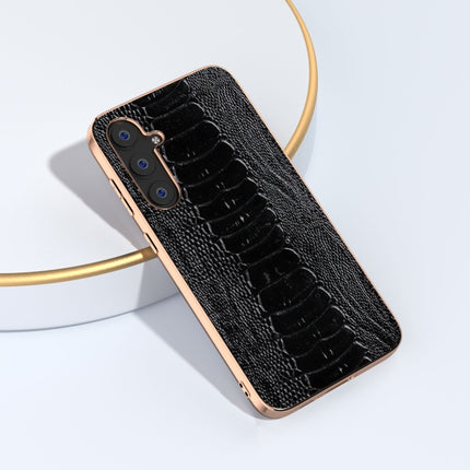 EDA005369901D_1.jpg@a51e26a0f4e1111c5a8641c315e8a6cc