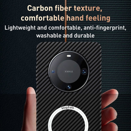 EDA0056044_B1.jpg@2034d53f36b20332dad1fcaf562bb6b4