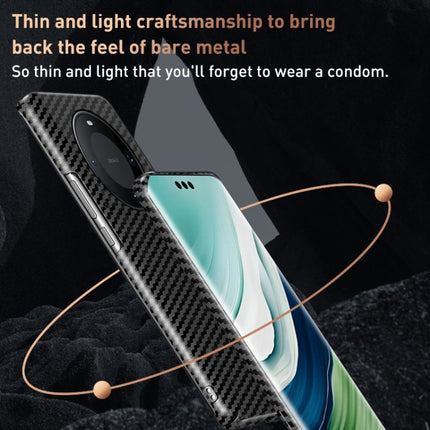 EDA0056044_B3.jpg@4861b1418f8395223a2a7bbc7f6e90ae