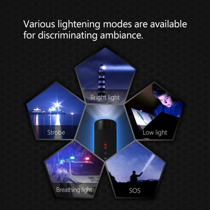 IP7G3956_8.jpg@ff344bdb15b08e0b165840f76b50c055