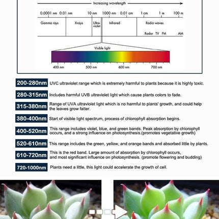 LED5012_7.jpg@ab37fa787989b5747866b26f4bfc1f85