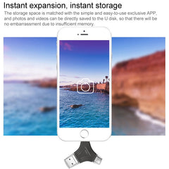 PC9013_5.jpg@691fc829dfd4758f2db24fef3290030d