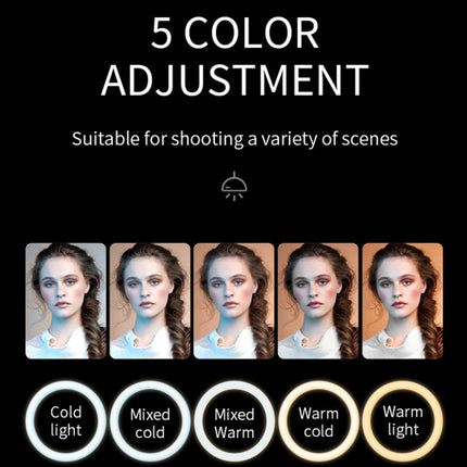 TBD0602382002_B5.jpg@b3dfe643997c90ba36b2b11f02096684